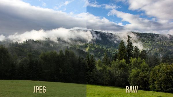 ScholarSphere Pro - Image 2