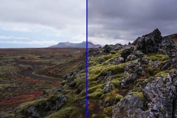 StudyForge - Image 3
